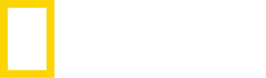 National-Geographic-logo (1)